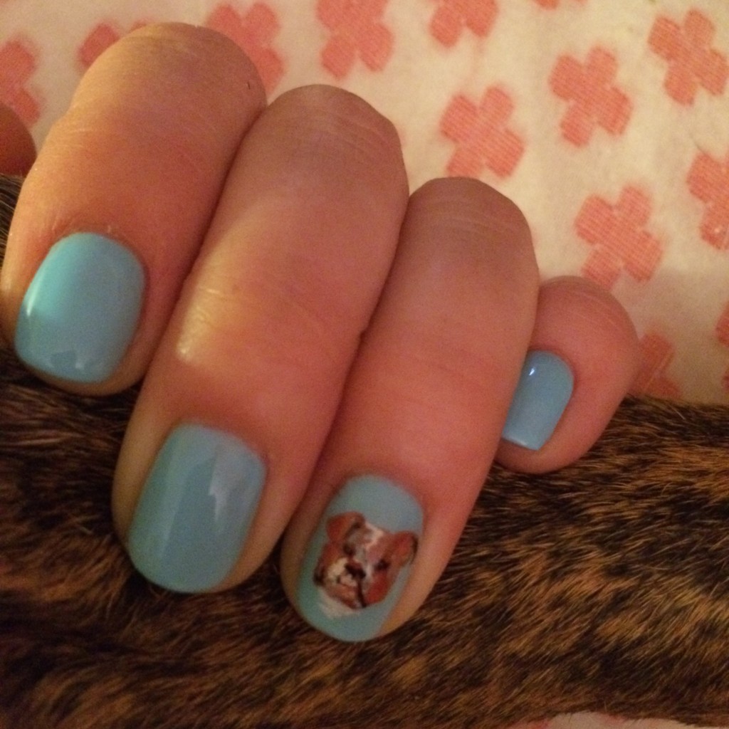 calgel-manicure-portrait-english-bulldog-tater-tot